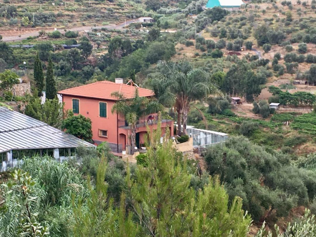 La Casa Del Podere Castellaro  Bagian luar foto